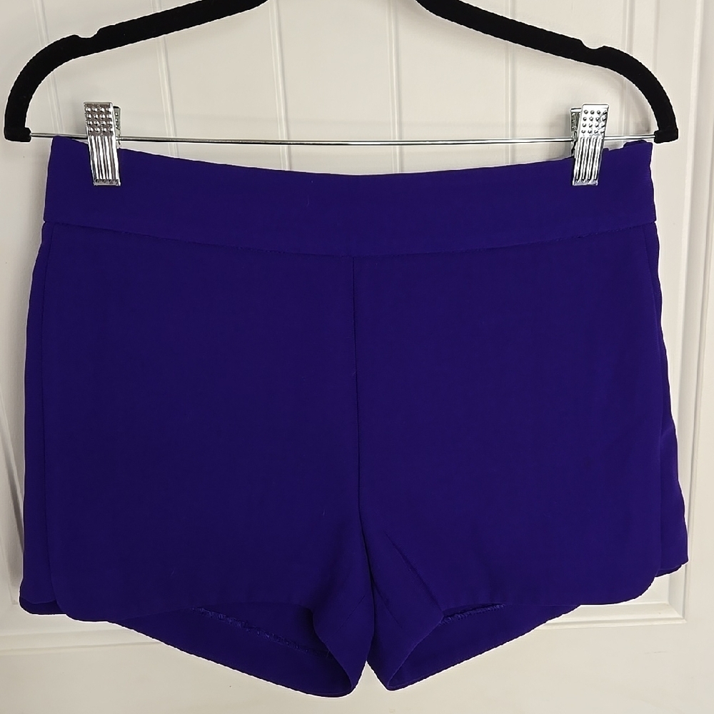 J. Crew Purple Shorts Preppy Casual Colorful Summer Classic Size 4
